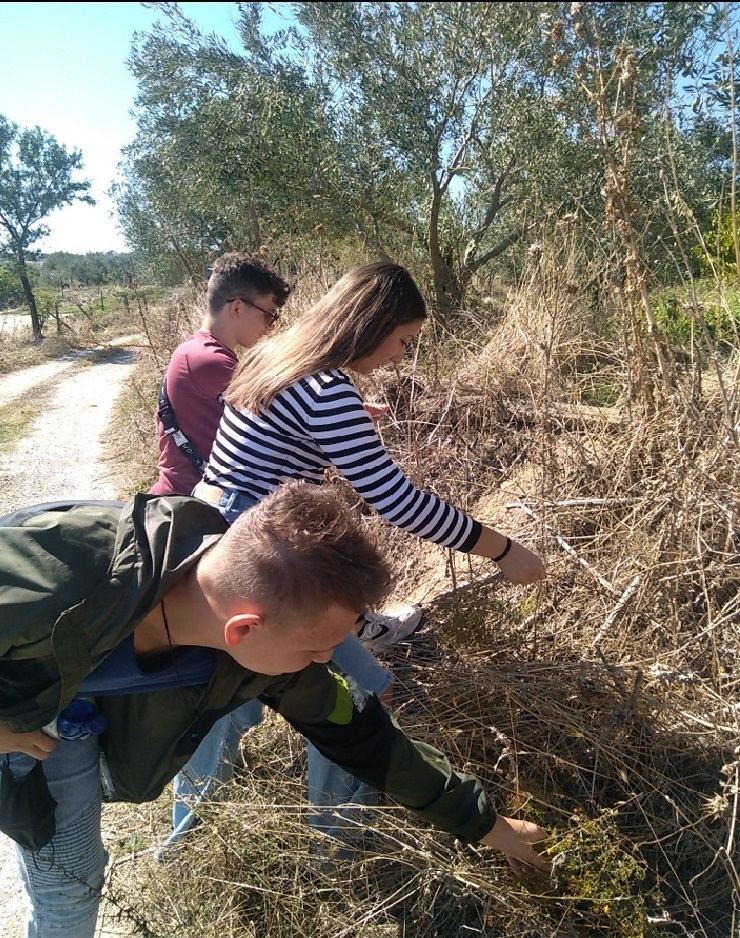 Βάλσαμο συλλογή 2